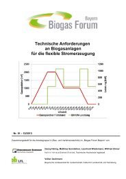 Technische Anforderungen an Biogasanlagen für die flexible ...