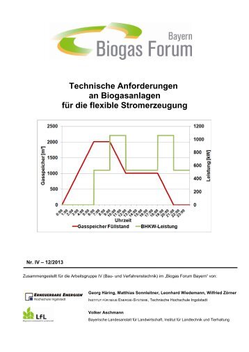 Technische Anforderungen an Biogasanlagen für die flexible ...