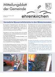 Vermehrte Wasserrorhrbrüche in den Wintermonaten - Gemeinde ...
