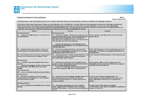 Expertenstandards in der Pflege - Barmherzige Brüder Trier e. V.