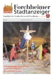 Stadtanzeiger Nr. 7 vom 28.03.13 - Forchheim