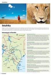 Ostafrika Touren (Kenia, Tansania, Uganda & Ruanda)