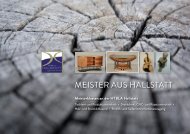 BroschÃ¼re der Meisterschulen - HTL & HTBLA Hallstatt