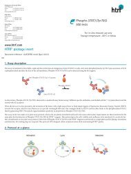 HTRFÂ® package insert Phospho-STAT3 (Tyr705 ... - Cisbio Bioassays