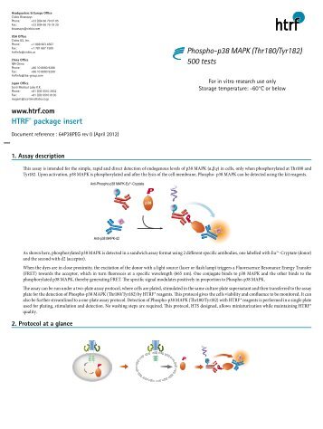 HTRFÂ® package insert Phospho-p38 MAPK ... - Cisbio Bioassays