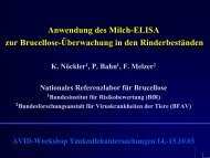 Brucellose Milch-ELISA