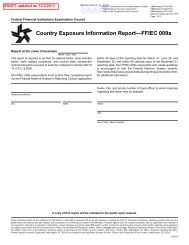 Draft FFIEC 009a reporting form