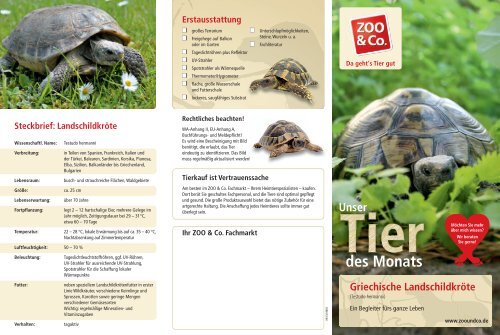 Griechische Landschildkröte - Zoo & Co.