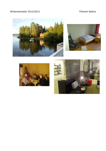 Erfahrungsbericht Umeå University (Schweden)