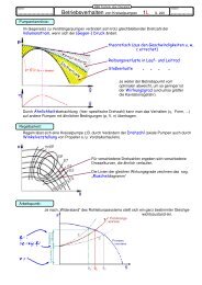 Betriebsverhalten von Kreiselpumpen 1L S. 220 - H. Klinkner