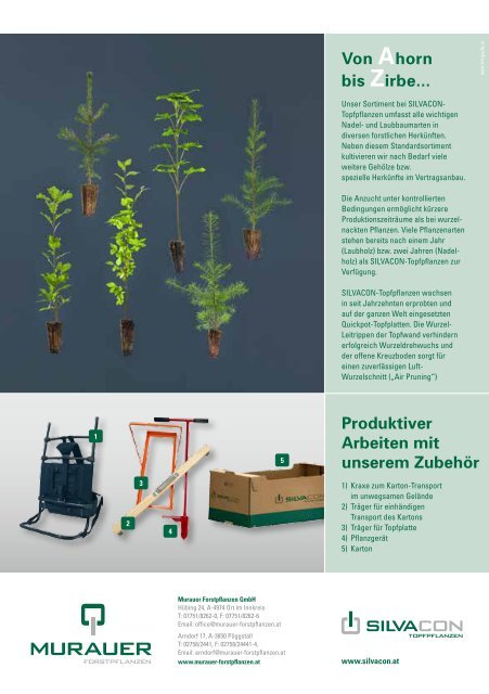 Preisliste 2013/2014 - Murauer Forstpflanzen