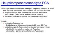 2 Hauptkomponentenanalyse (Monitor)