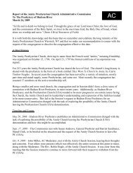 amity_ac_report.pdf (103 kb) - Hudson River Presbytery