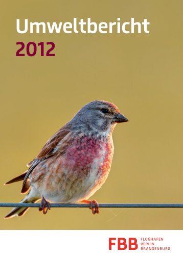 Umweltbericht 2012