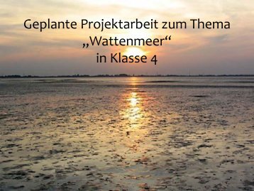 Geplante Projektarbeit zum Thema „Wattenmeer“ - Dr. Hans Toman