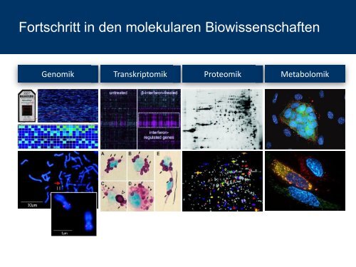 Companion Diagnostics - aus Sicht eines pharmazeutischen ... - DGIM