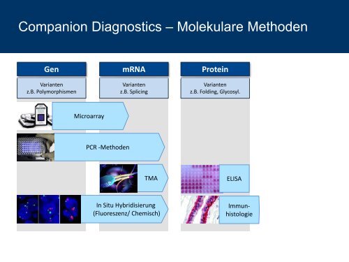 Companion Diagnostics - aus Sicht eines pharmazeutischen ... - DGIM