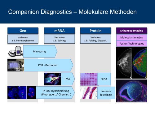 Companion Diagnostics - aus Sicht eines pharmazeutischen ... - DGIM