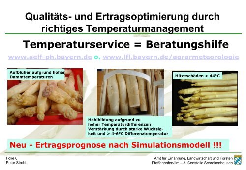 Aktuelles zum Spargelbau - Amt für Ernährung, Landwirtschaft und ...