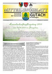 Gutach KW 29 ID 70105 - bei der Gemeinde Gutach im Breisgau