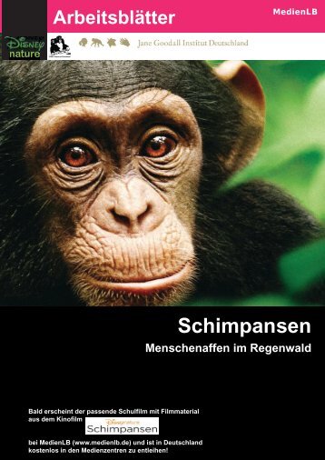 Schimpansen - Disney.de