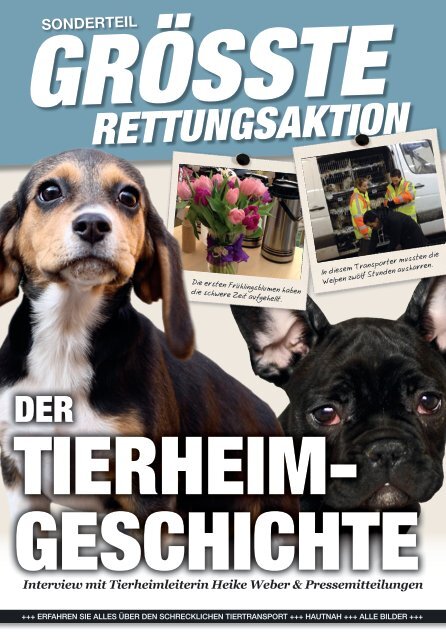 rEttunGsaktion - Tierheim Nürnberg