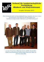 VLF-Blatt Miesbach und Wolfratshausen November 2013 - Amt für ...