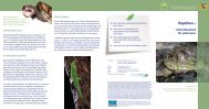 „Reptilien - keine Haustiere für jedermann“ (PDF, 2 MB)