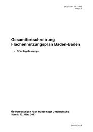 FNP 2025 Entwurf - Baden-Baden