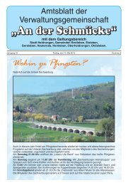 Amtsblatt Nr. 09 vom 10.05.2013 - Verwaltungsgemeinschaft 