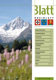 Dreiblatt Juni 2013 - Bürchen Tourismus