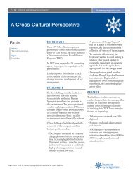 A Cross-Cultural Perspective - Human Synergistics