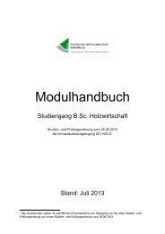 Modulhandbuch (PDF) - Hochschule Rottenburg