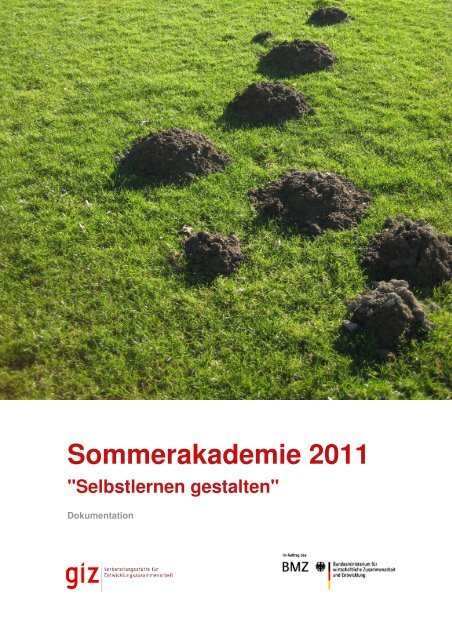 Sommerakademie 2011 (pdf, 3.65 MB, DE) - GIZ