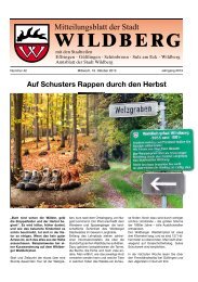 Auf Schusters Rappen durch den Herbst - Wildberg