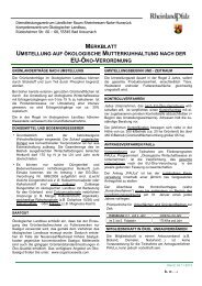 Merkblatt ökologische Mutterkuhhaltung RLP_2013.pdf - DLR ...