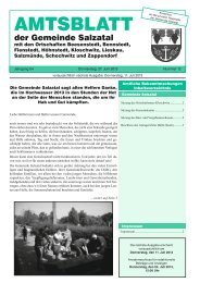 Amtsblatt Nr. 12 vom 27. Juni 2013 (1.25 MB) - Gemeinde Salzatal