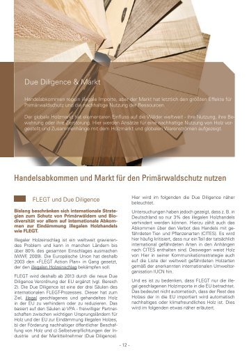 Due Diligence & Markt - Holz von Hier