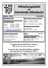 DIENSTPLAN FÜR JUNI 1998: - Altenbuch