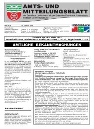 Amts- und Mitteilungsblatt 2013_02_22 - Leidersbach