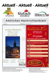 Mitteilungsblatt 05.12.2013 mit GR vom 18.11.2013 - Hausach