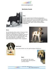 Die Anatomie des Hundes - Hunderatgeber