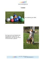 PDF Treibball - Hunderatgeber