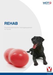 Physiotherapeutisches Trainingsequipment für Hunde - wdt.de