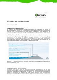 Papier zu Sturmfluten und Sturmhochwasser - BUND