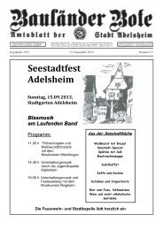 Seestadtfest Adelsheim