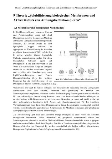 9 Theorie „Solubilisierung biologischer Membranen und ...