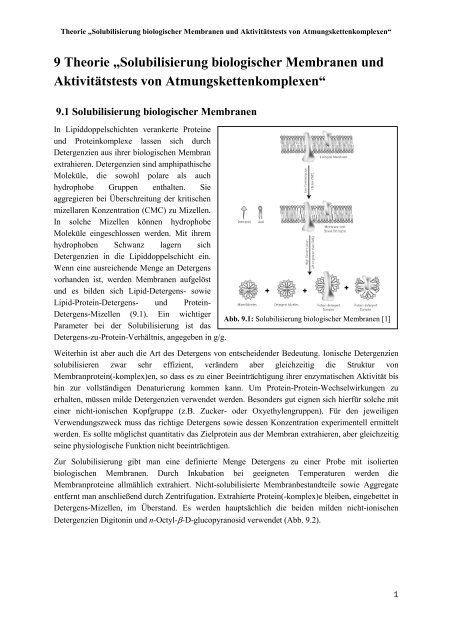 9 Theorie „Solubilisierung biologischer Membranen und ...