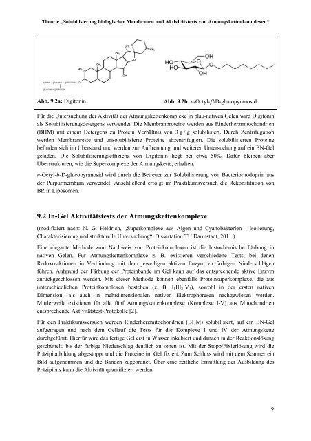 9 Theorie „Solubilisierung biologischer Membranen und ...