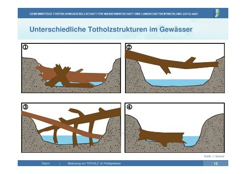 Vortrag zu Totholz in Fließgewässern | PDF 26 MB - GfG